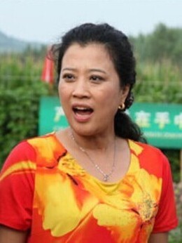 豆腐西施杨七巧_天天影视