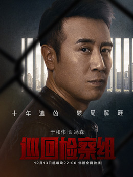 巡回检察组_天天影视