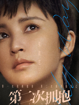 第二次拥抱_天天影视