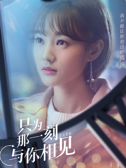 只为那一刻与你相见_天天影视