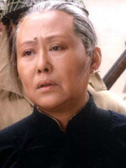 野火春风斗古城_天天影视