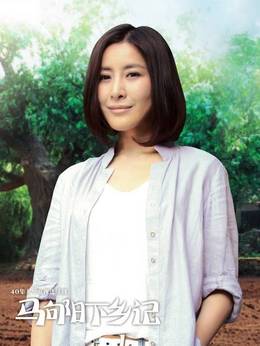 马向阳下乡记_天天影视