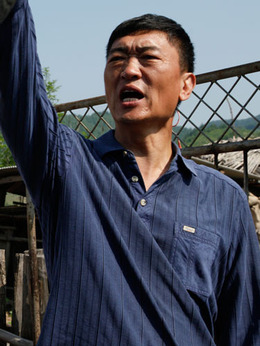 豆腐西施杨七巧_天天影视