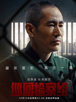 巡回检察组_天天影视