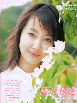 最后的警察_天天影视