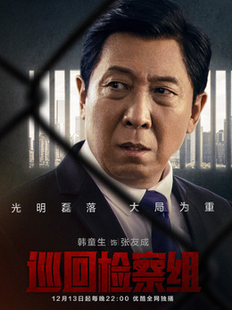 巡回检察组_天天影视
