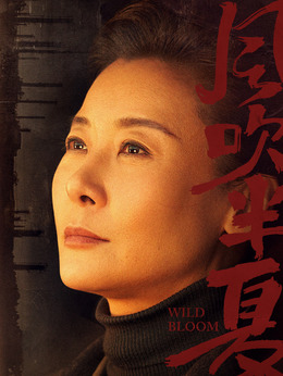 风吹半夏_天天影视