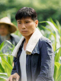 山河锦绣_天天影视