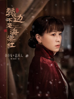 鬓边不是海棠红_天天影视