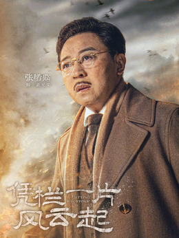 凭栏一片风云起_天天影视