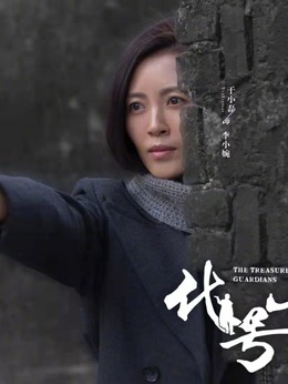 代号·山豹_天天影视