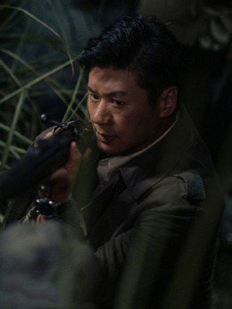 虎胆巍城_天天影视