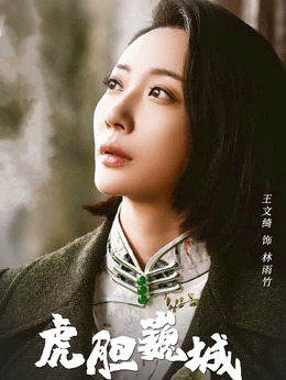 虎胆巍城_天天影视