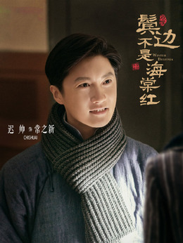 鬓边不是海棠红_天天影视