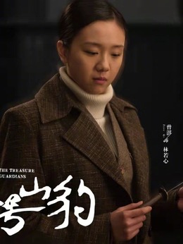 代号·山豹_天天影视