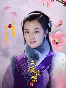 刘墉追案_天天影视