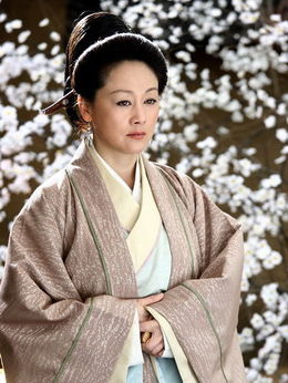 孔雀东南飞_天天影视