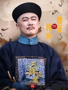 刘墉追案_天天影视