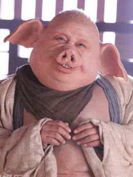 新西游记_天天影视