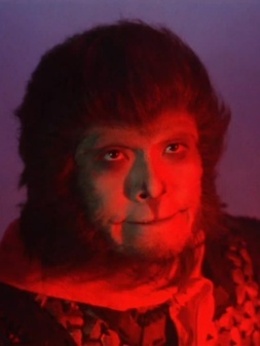 大话西游之月光宝盒_天天影视