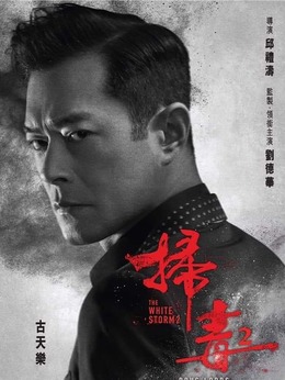 扫毒2：天地对决_天天影视