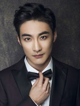 盗圣一枝梅_天天影视