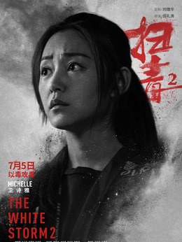 扫毒2：天地对决_天天影视