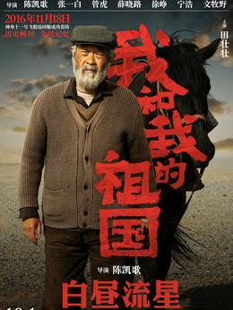 我和我的祖国_天天影视