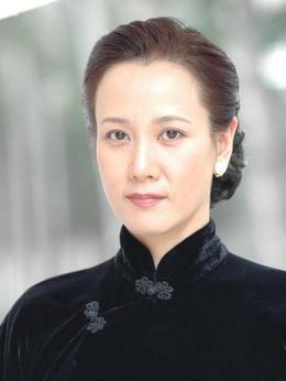 大决战之辽沈战役_天天影视