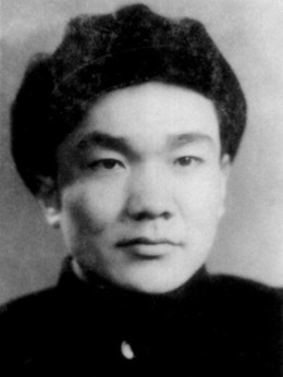 平原游击队_天天影视