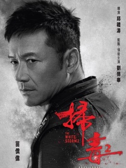 扫毒2：天地对决_天天影视