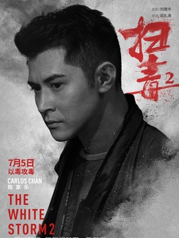 扫毒2：天地对决_天天影视