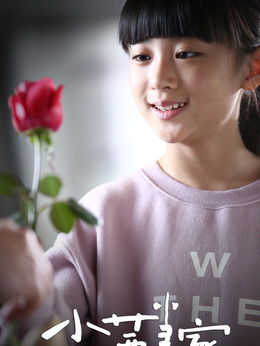 小茜当家_天天影视