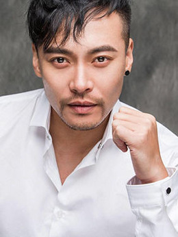 侠义金枪客_天天影视