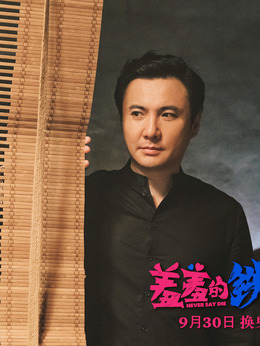 羞羞的铁拳_天天影视