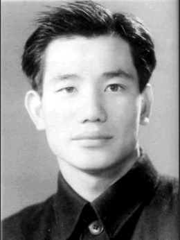 平原游击队_天天影视