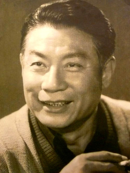 平原游击队_天天影视