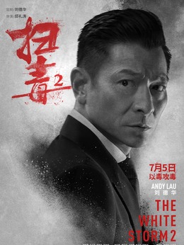 扫毒2:天地对决_天天影视