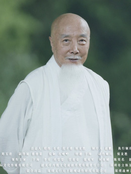 铁拳雄心_天天影视