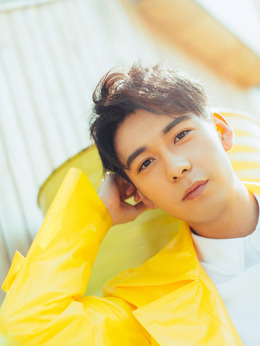 倩女幽魂之人间情_天天影视