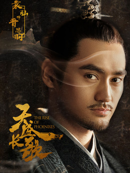 天盛长歌_天天影视