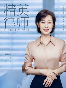 精英律师_天天影视
