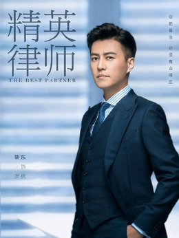 精英律师_天天影视