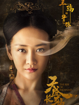 天盛长歌_天天影视