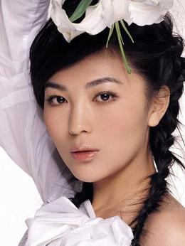 双枪李向阳_天天影视