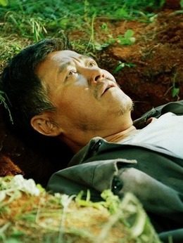 落叶归根_天天影视