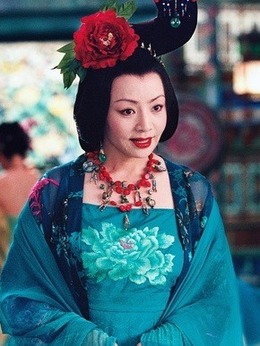 十面埋伏_天天影视