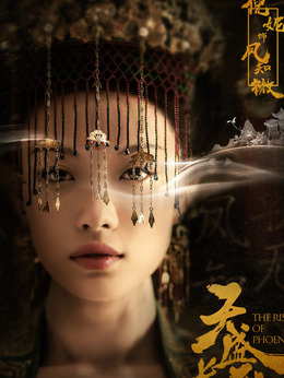 天盛长歌_天天影视