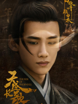 天盛长歌_天天影视