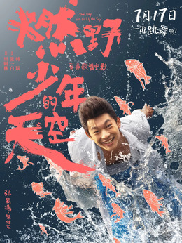 燃野少年的天空_天天影视